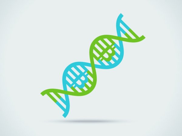 Генетика на белом фоне