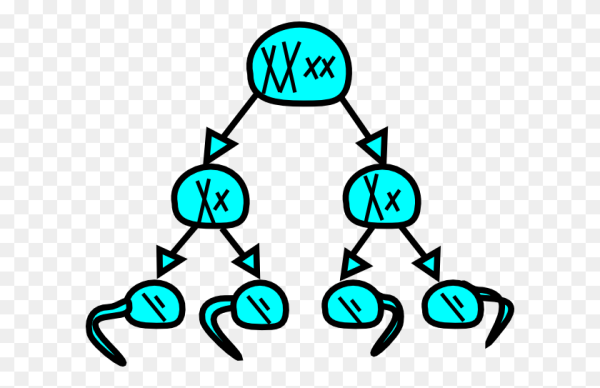 Генетика рисунок