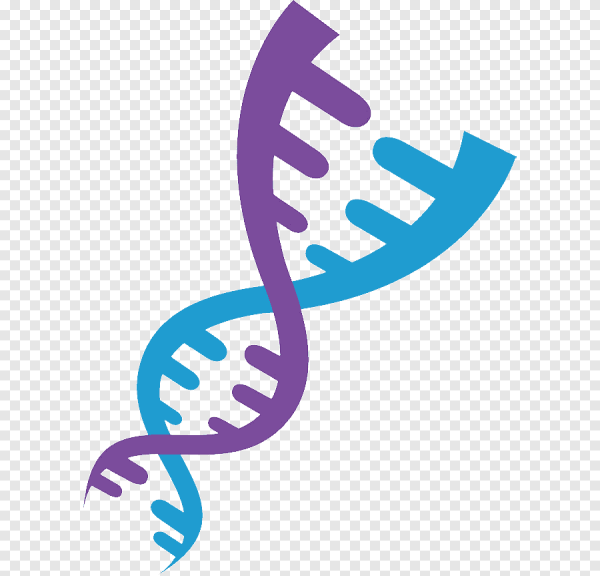 Генетика на прозрачном фоне