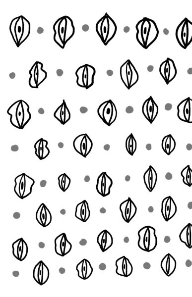 Разновидности женских влагалищ