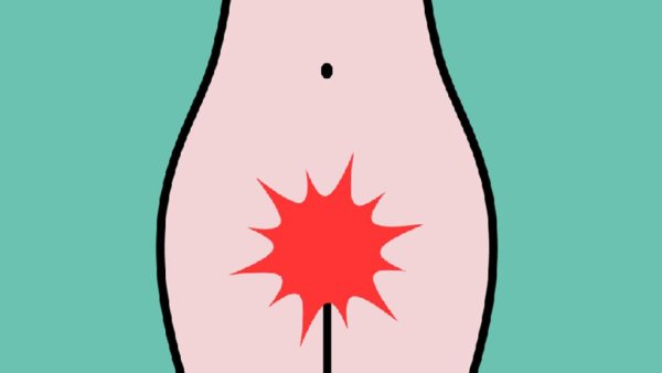 Рисование половых органов