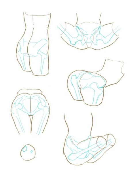 Ягодицы референс