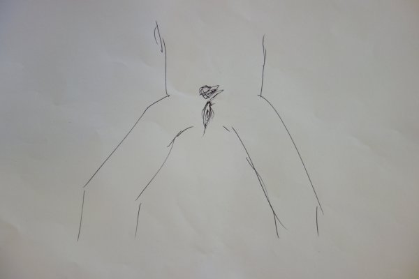 Нарисованный член на бумаге