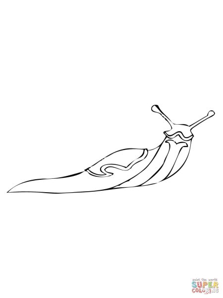 Раскраска СЛИЗНЯК