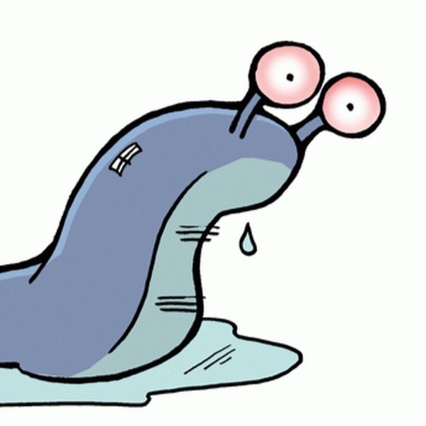 СЛИЗЕНЬ на белом фоне