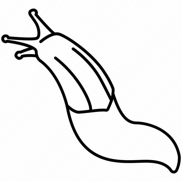 Раскраска СЛИЗНЯК