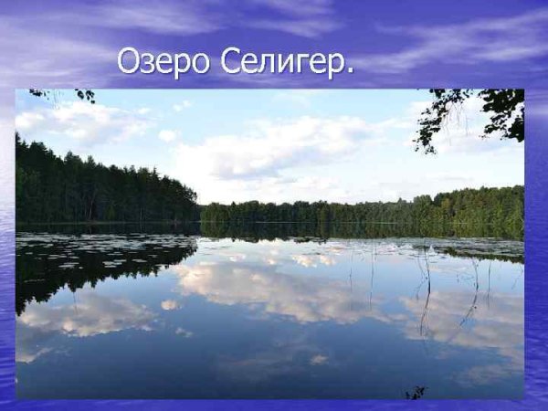 Озеро Селигер площадь