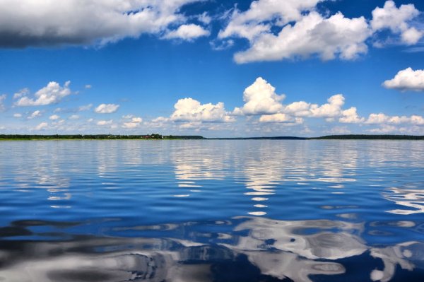 Озеро Селигер природа