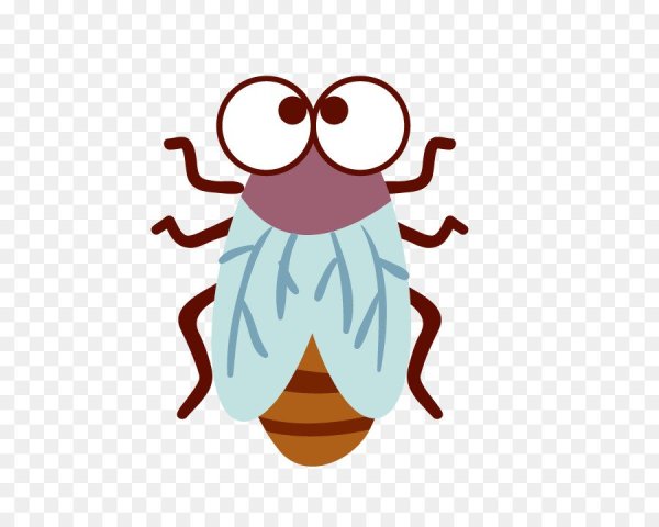 Муха сбоку контур