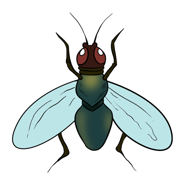 Муха Цокотуха пчела