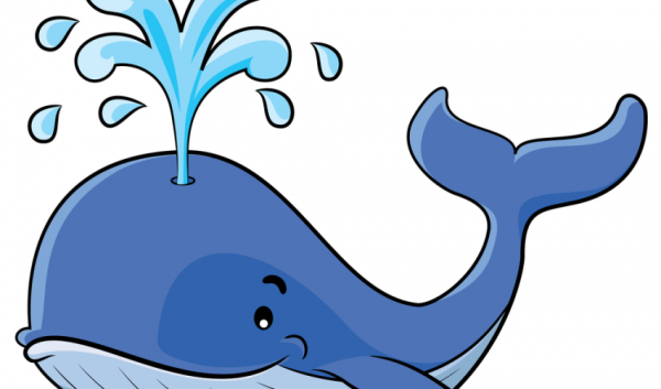 Китенок на белом фоне