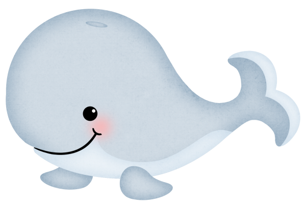 Китенок на прозрачном фоне