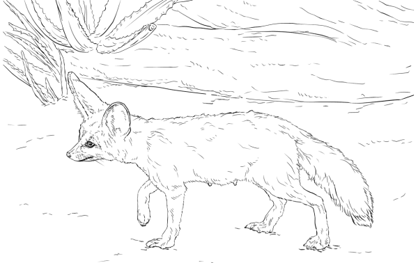 Контур лисы