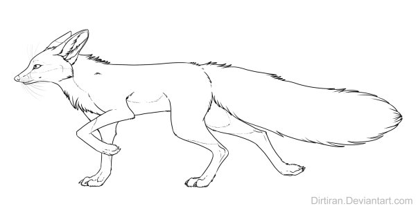 Фенек раскраска