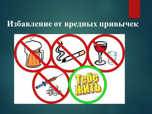Жизнь без вредных привычек