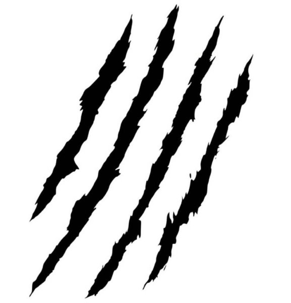 Порезы от когтей