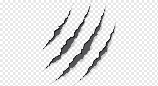 Следы когтей