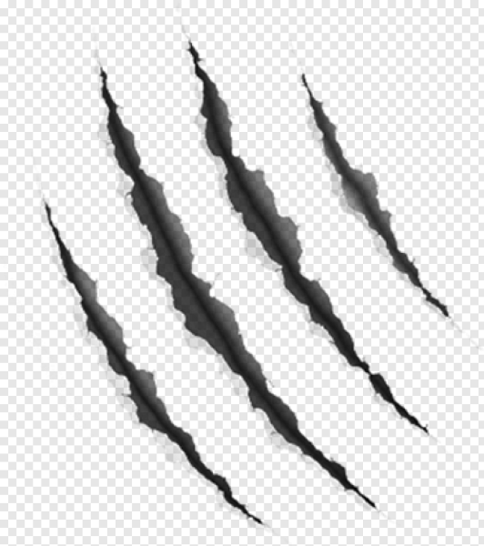 Рваные следы когтей