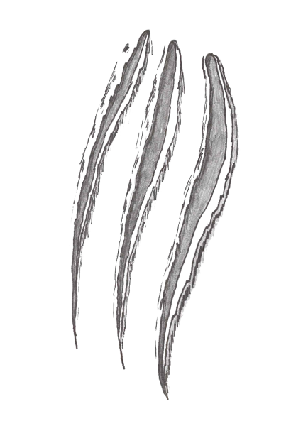 Царапины от когтей