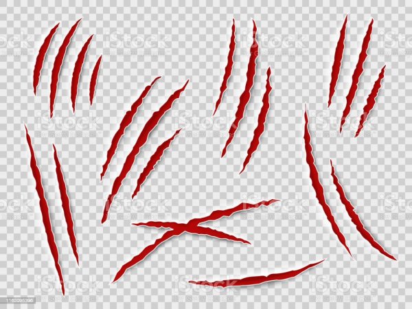 Царапины от когтей кошки