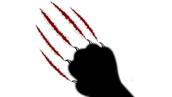 Порезы от когтей