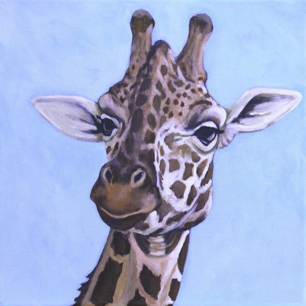 Жираф рисунок для срисовки