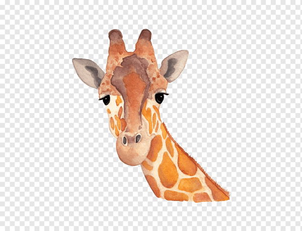 Акварельный Жираф фон