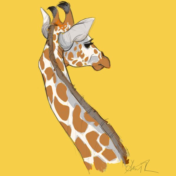 Жираф иллюстрация