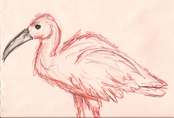 Идеи для рисования в ибисе