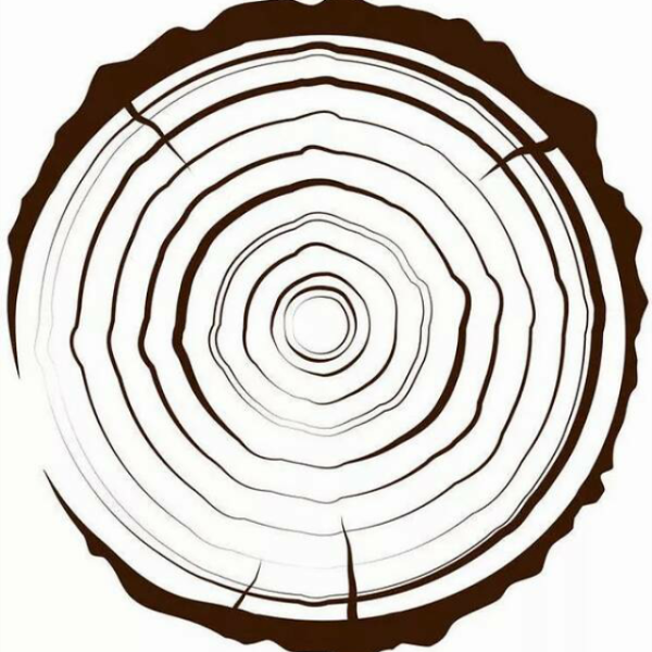 Срез дерева