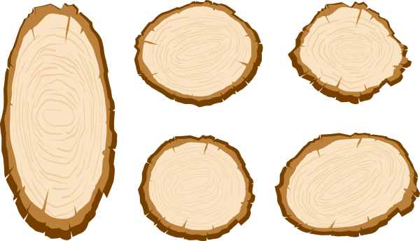 Срез дерева вектор