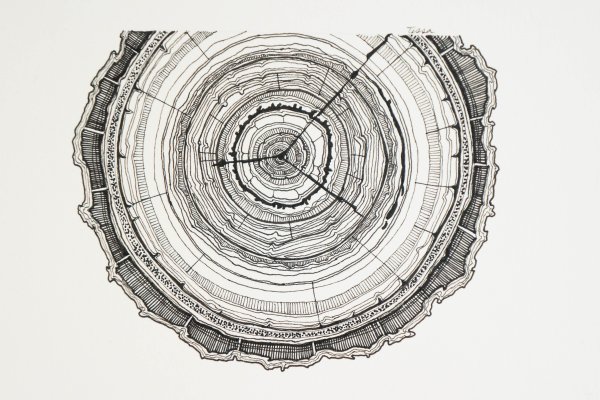 Срез дерева вектор