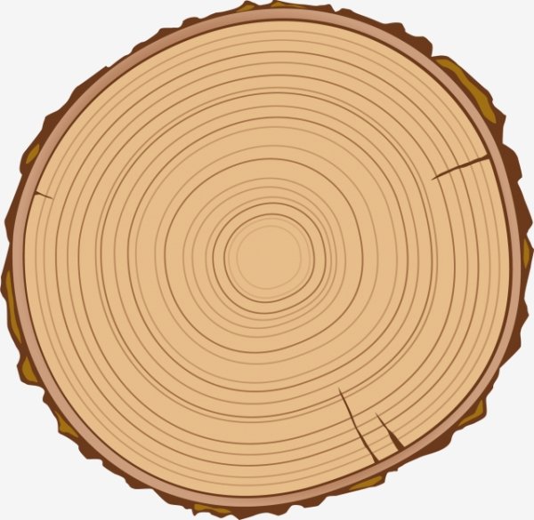 Круглый срез бревна