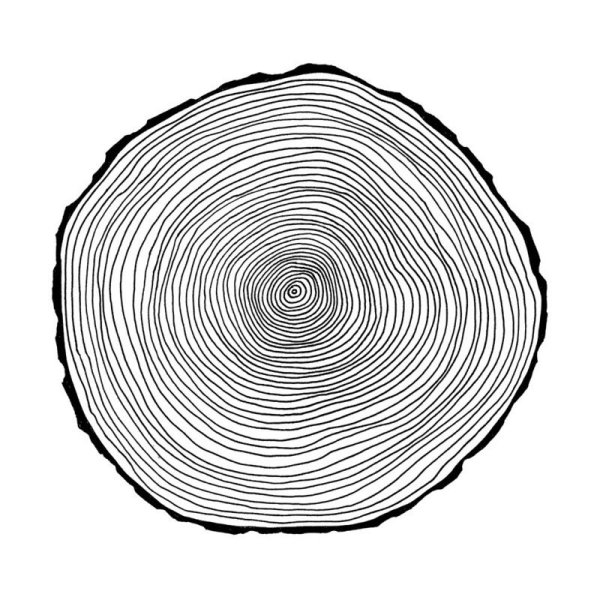 Срез дерева чб