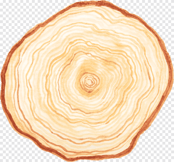 Пень вид сверху