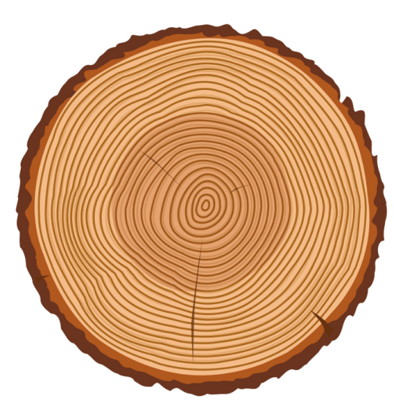 Круглое бревно