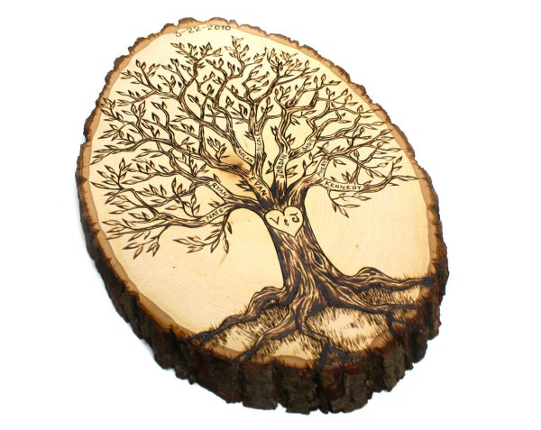 Рисуем дерево на срезе дерева