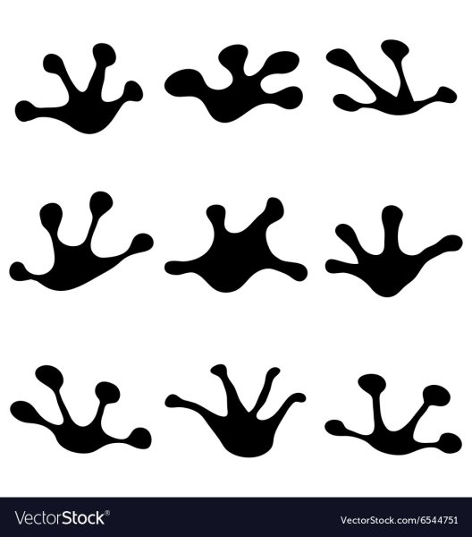 Отпечаток лягушачьей лапы