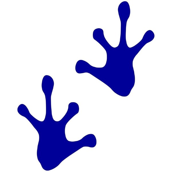 Лягушачья лапа след