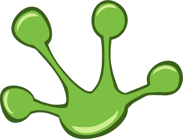 Пяточный бугор у лягушки