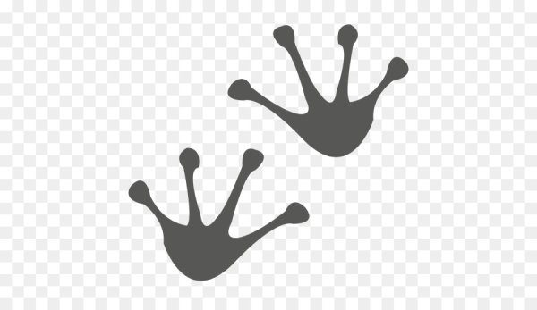 Раскраска лягушачьи лапки