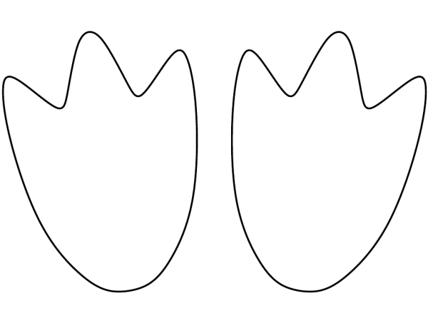 Симметричная лягушка