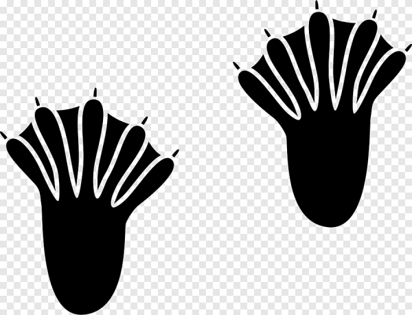 Трафарет руки для поделок