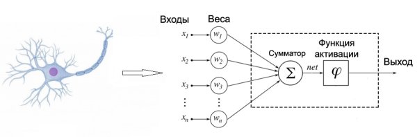 Схема нейрона нейросети