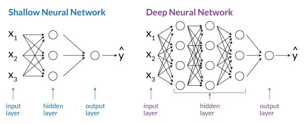 Shallow Neural Networks