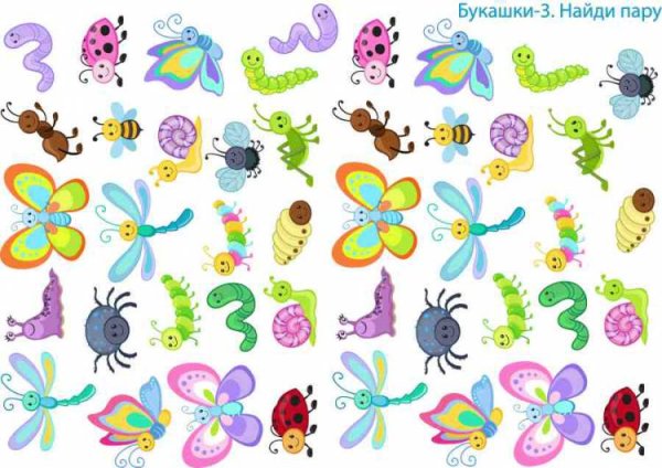 Найди пару насекомые