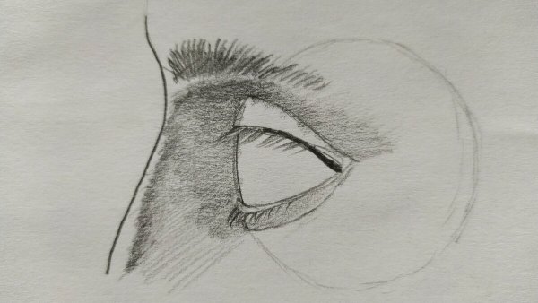 Глаз сбоку карандашом
