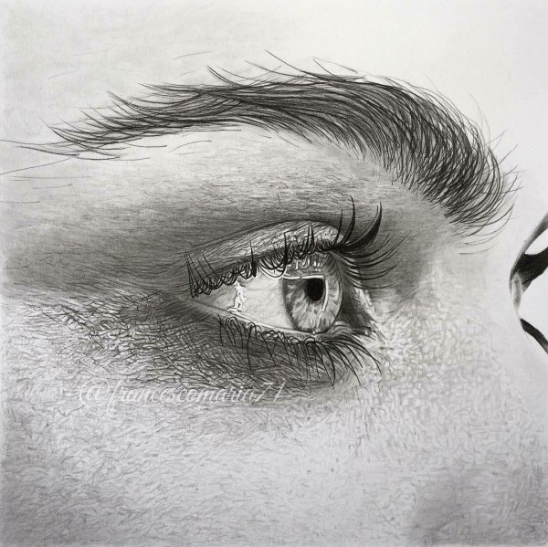 Глаз в профиль карандашом