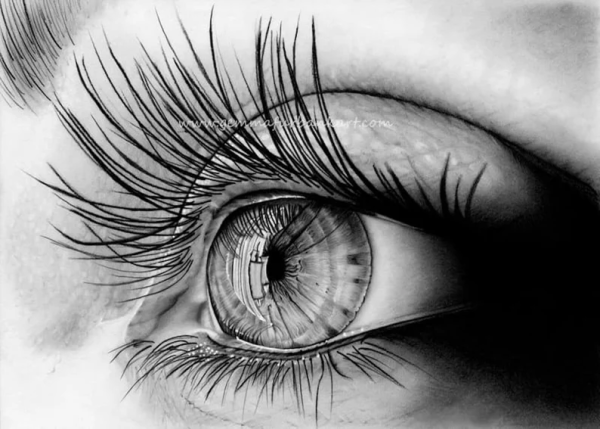 Рисование глаза в профиль