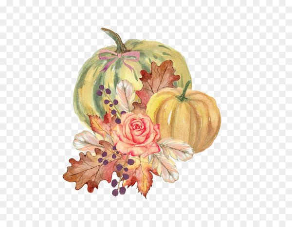 Осень тыква акварель